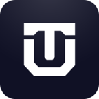 DesignTribe logo