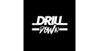 logo di Drill Down Consulting