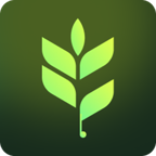 logo di Flowfye